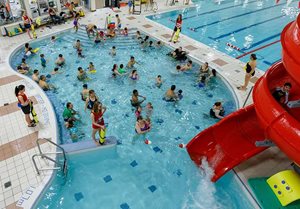 Ward 6 Iroquois Ridge Community Centre Pool Ward 6 Iroquois Ridge Community Centre Pool