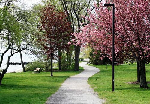 Ward 3 Coronation Park Ward 3 Coronation Park