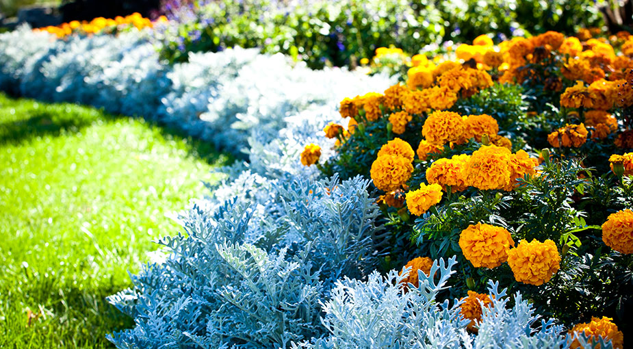 Garden bed in a park in Oakville
